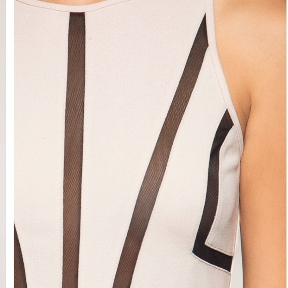 Taupe Mesh Contrast Fitted Dress - Picture 5 of 5